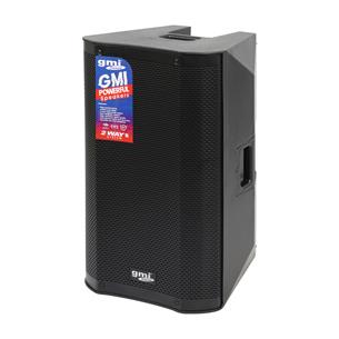 CAJA ACTIVA PRO SERIES CON USB/DSP/BT 12 PULGADAS 500W