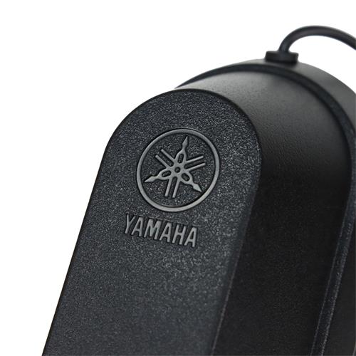 PEDAL DE SUSTAIN PARA TECLADO - CLA