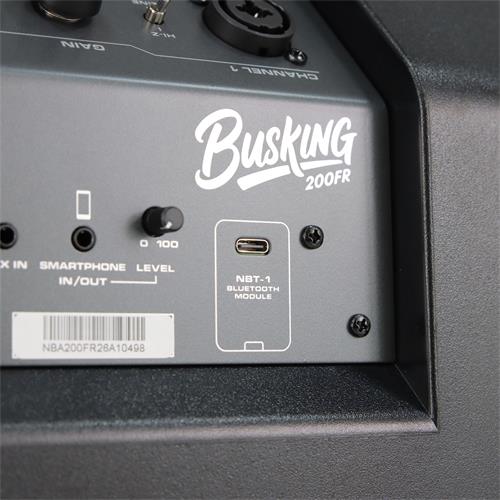 AMPLIFICADOR MULTIPROPOSITO BUSKING RECARGABLE 276W 1X8``