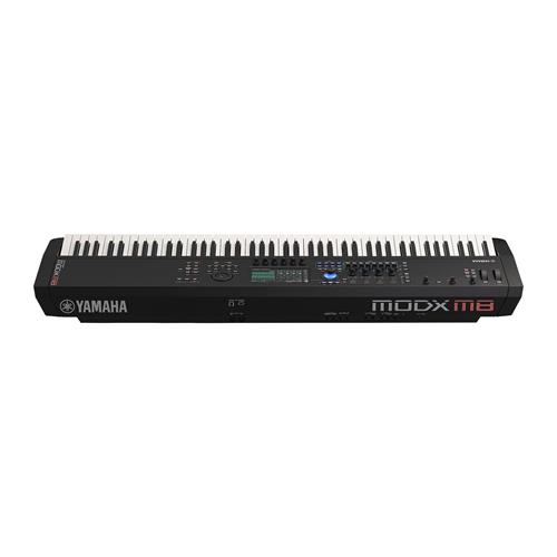 TECLADO SINTETIZADOR PROFESIONAL 88 TECLAS + ADAPTADOR PA-300C - CLA