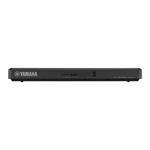 PIANO DIGITAL COMPACTO 88 TECLAS HAMMER CON BLUETOOTH + ADAPTADOR PA-300C - CLA