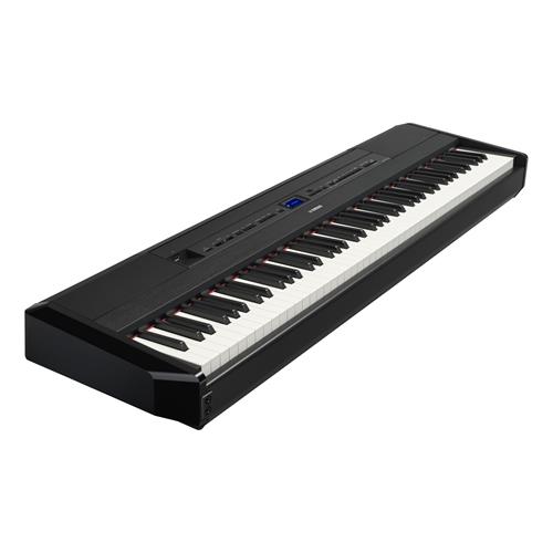 PIANO DIGITAL COMPACTO 88 TECLAS HAMMER CON BLUETOOTH + ADAPTADOR PA-300C - CLA