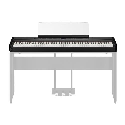 PIANO DIGITAL COMPACTO 88 TECLAS HAMMER CON BLUETOOTH + ADAPTADOR PA-300C - CLA