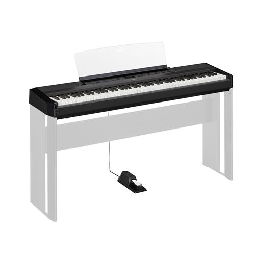 PIANO DIGITAL COMPACTO 88 TECLAS HAMMER CON BLUETOOTH + ADAPTADOR PA-300C - CLA