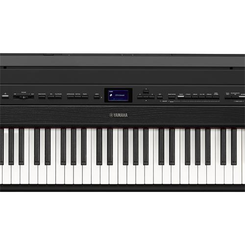 PIANO DIGITAL COMPACTO 88 TECLAS HAMMER CON BLUETOOTH + ADAPTADOR PA-300C - CLA