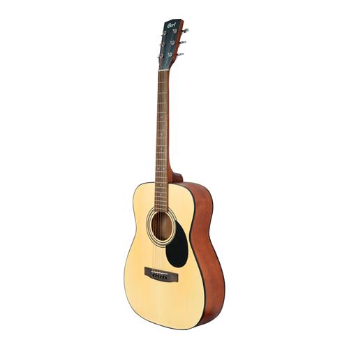 GUITARRA ACUSTICA STANDARD OPEN PORE - DESC