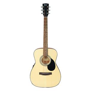 GUITARRA ELECTROACUSTICA STANDARD OPEN PORE
