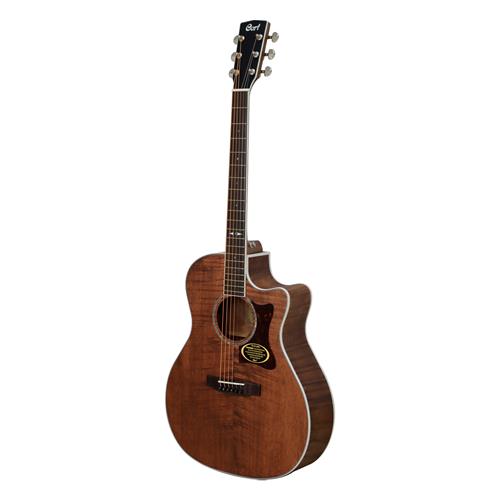 GUITARRA ELECTROACUSTICA GRAND REGAL OPEN PORE - DESC